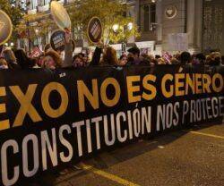 Manifestación feminista contra lo trans.