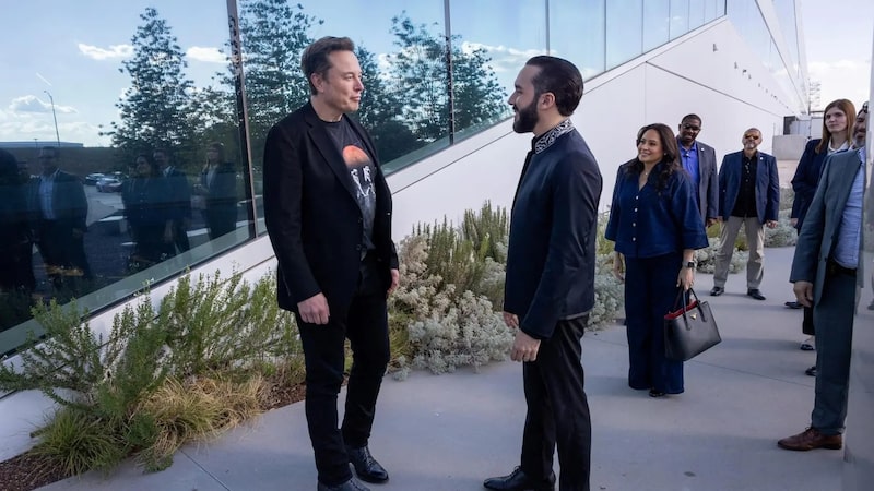 Elon Musk y Nayib Bukele