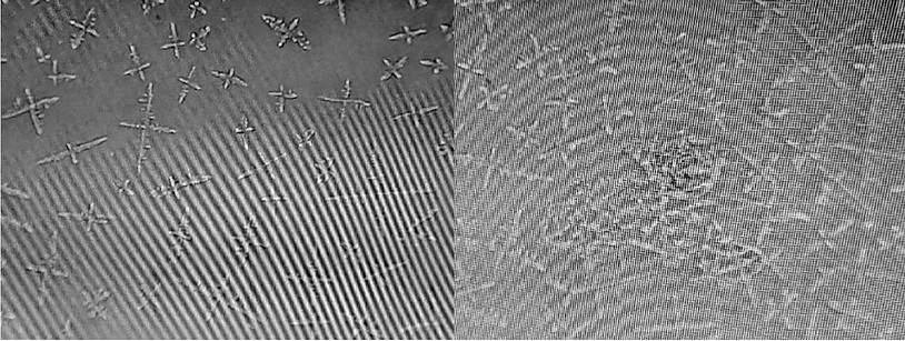 Figuras 10 y 11. Tras el contacto del Hidrogel Darpa con fluídos orgánicos (por ejemplo, saliva), en unos pocos minutos empieza a formar estructuras cristalinas rectangulares. Estas crecen gradualmente de una manera fractal.