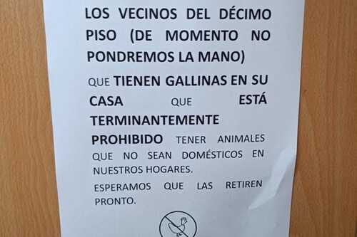 Vecinos