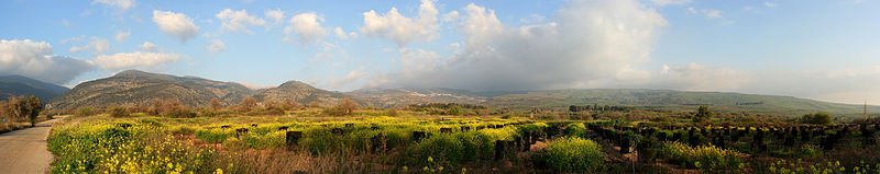 800px-Golan_357PAN.jpg