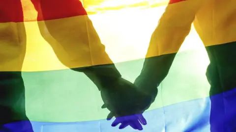 Getty Images Dos personas se toman de la mano detrás de una bandera arcoíris.