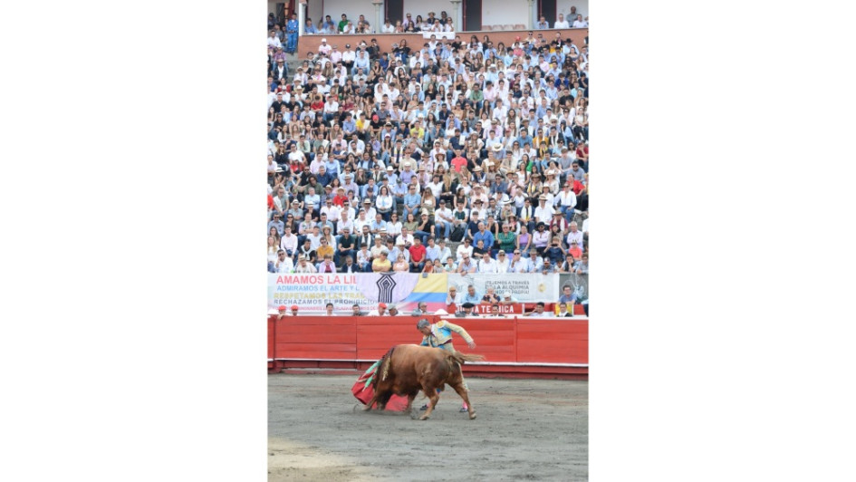 La aprobación de la ley que prohíbe los toros en Colombia se realizó el pasado 28 de mayo.