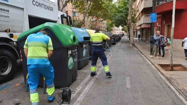 Barrendero porro Palma