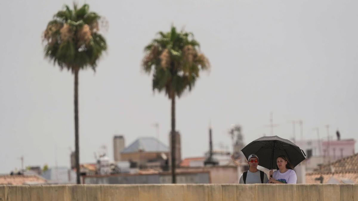 Dos personas pasean protegidas bajo un paraguas en el centro de la ciudad de Córdoba este jueves.