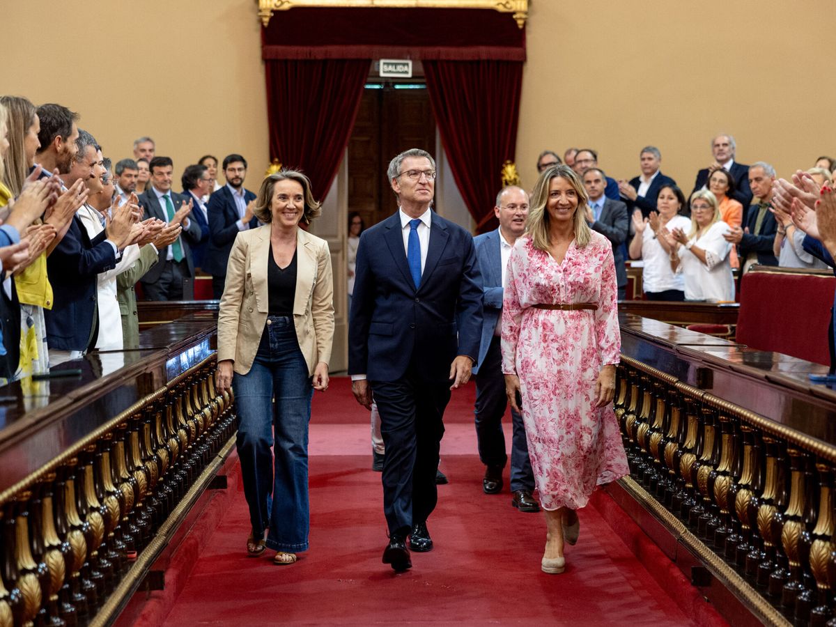 Foto: El líder del PP, Alberto Núñez Feijóo, durante la reunión de los grupos parlamentarios en el Senado (EFE / Daniel González)