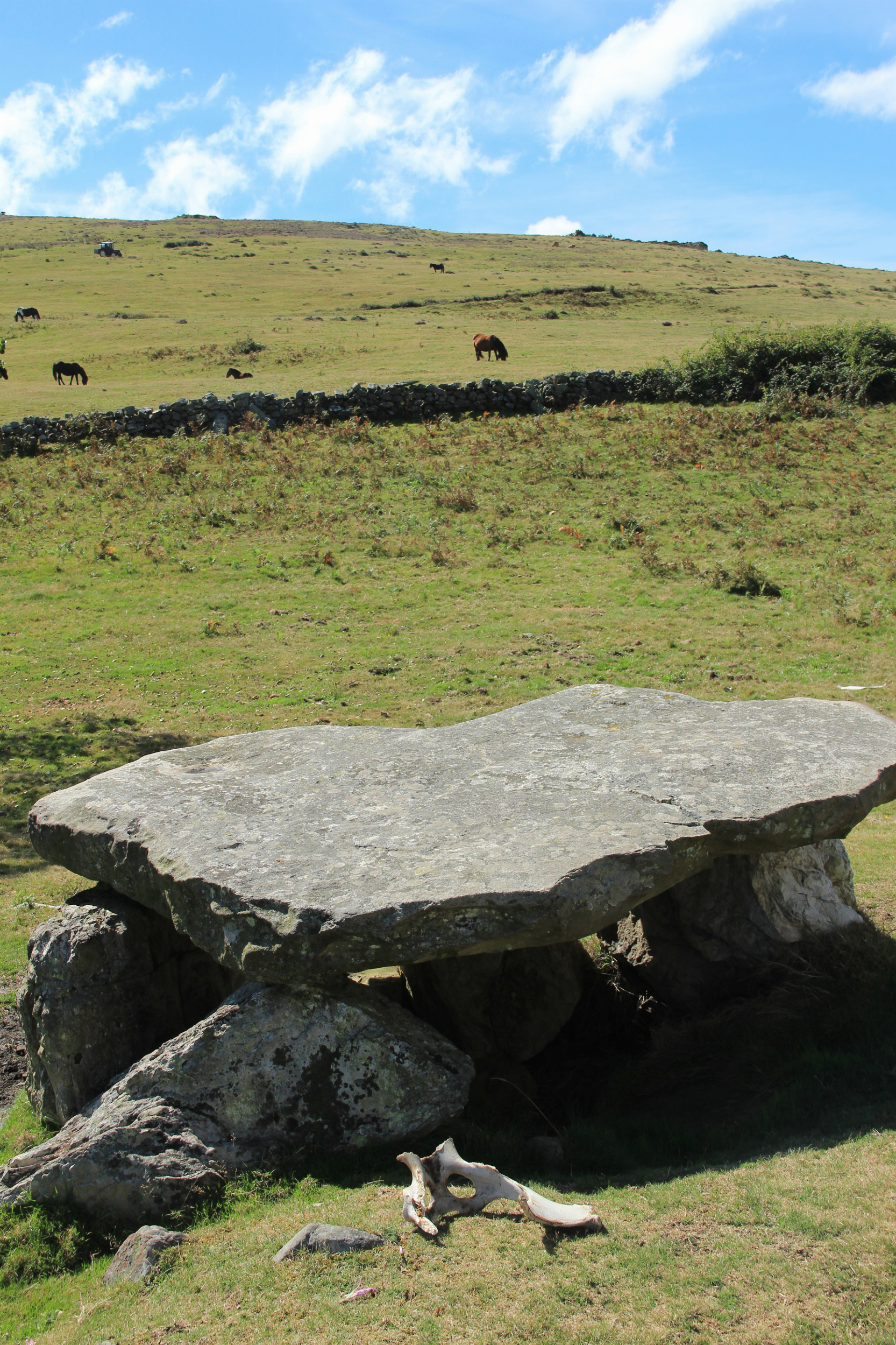 Dolmen_de_Merias_%28Tineu%29_%285%29.jpg