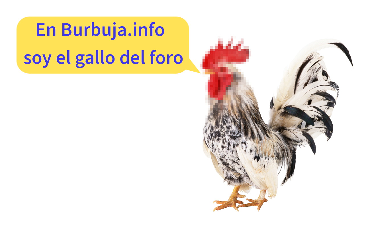 GALLITO FORERO.png