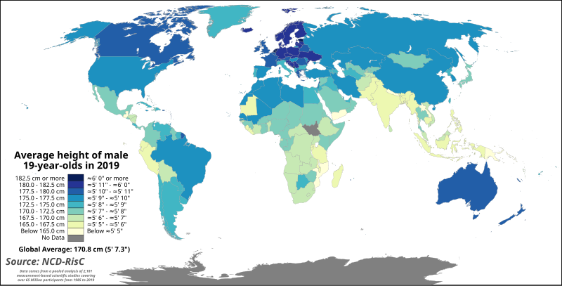 height_of_male_19-year-olds_by_country_in_2019.svg.png