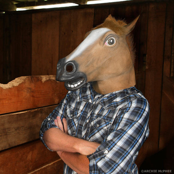 horse-mask_stable.jpg