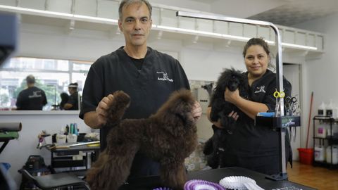 Alejandro Pita y Sandra Regina tienen una peluquería canina, pero además se dedican a preparar caniches para competiciones