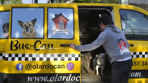 Algunas guarderías caninas ofrecen servicio de recogida a domicilio para los perros