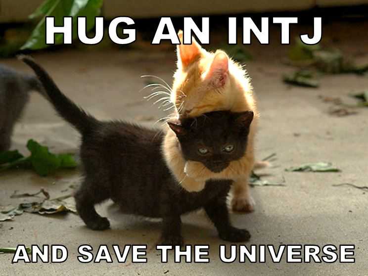 hug-an-intj.jpg