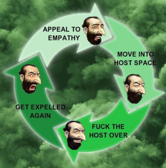 life cycle.jpg