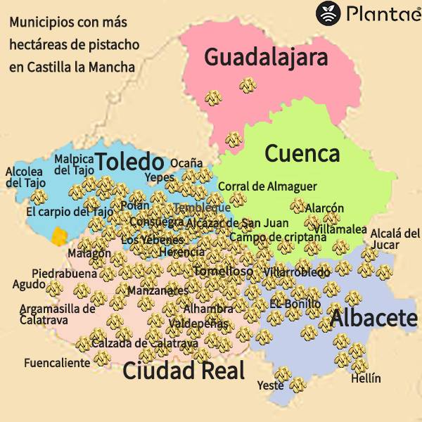 mapa-casitlla-la-mancha-pistacho.jpg