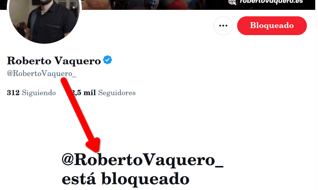 ROBERTA el bichito.png