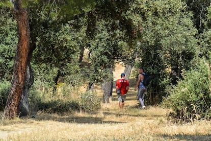 Dos hombres buscan un espacio en la vegetación de la Casa de Campo de Madrid para practicar 'cruising', el 5 julio.