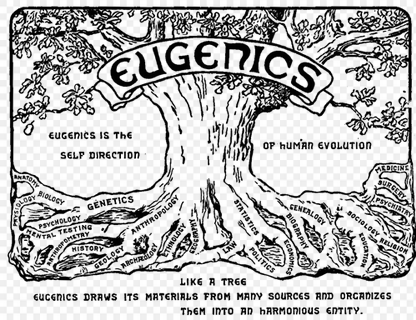 Screenshot 2025-01-03 at 22-54-18 Eugenics congress logo - Eugenesia - Wikipedia la encicloped...png