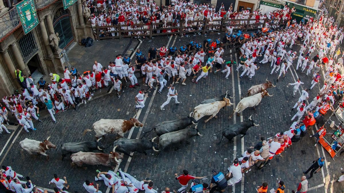 segundo-encierro-san-fermin-toros-jose-escolar_96.jpg