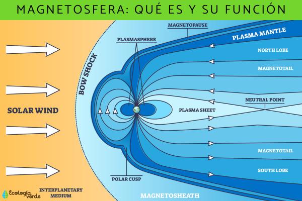 sfera_que_es_donde_se_encuentra_y_funcion_3711_600.jpg