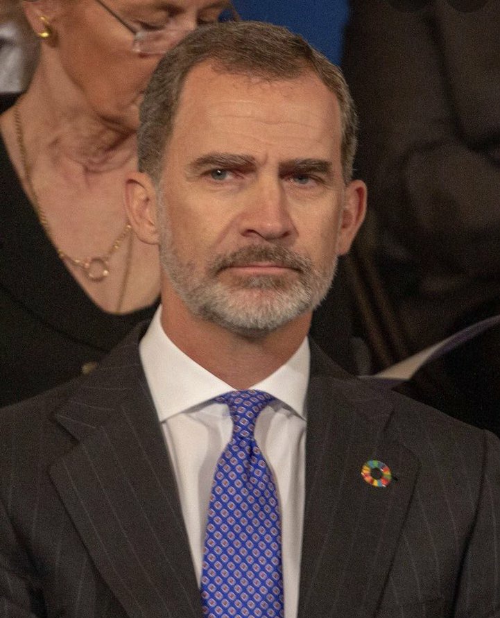 TRAITOR KING OF SPAIN PSOE ASESINOS INUNDACION VALENCIA GENOCIDIO.jpg