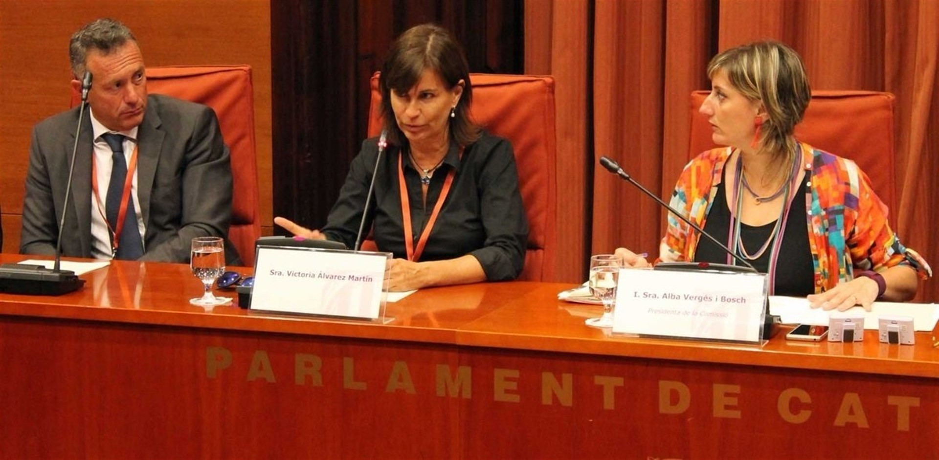 Victòria Álvarez, el dia de la seva compareixença al Parlament/Parlament