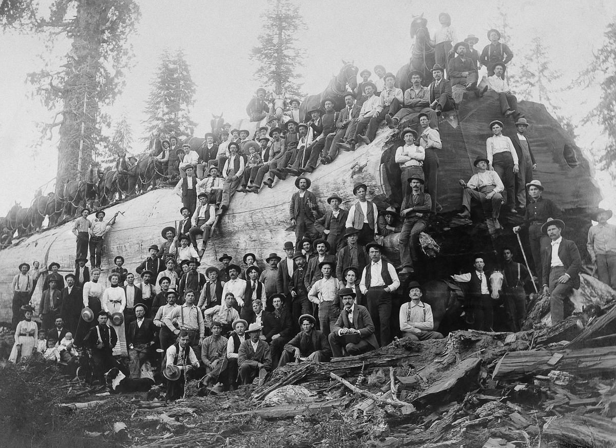 vintage-lumberjacks-of-north-america-1900s-08.jpg