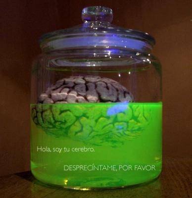 817032hola-soy-tu-cerebro.jpg