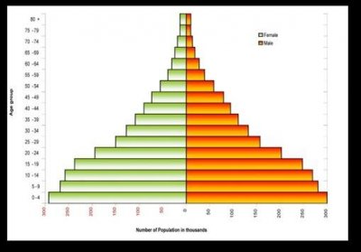 Palestinian-population-pyramid-notice-the-high-proportion-of-individuals-under-the-age.jpg