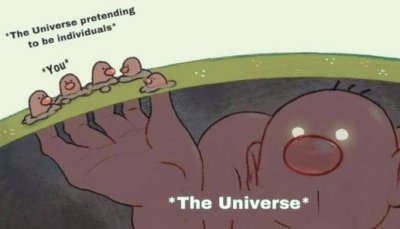 The universe pretending to be individuals-1.jpg