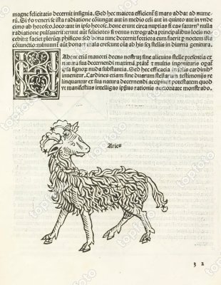 aries1488.jpg