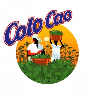 camiseta-colo-cao.jpg