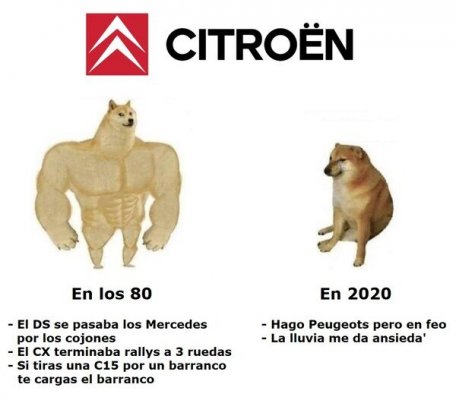 CC_2802007_440e387cd753477ca108f28e499747e5_meme_otros_la_decadencia_de_citroen.jpg