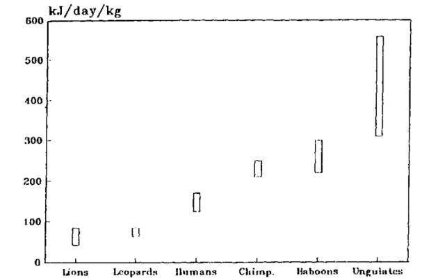 Comparison-of-the-coefficient-of-gut-differentiation-CGD-for-various-extant-animals-and.png