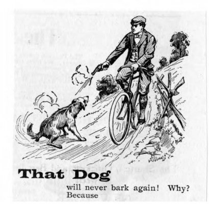 Cyclist Dog.jpg