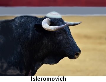 Isleromovich.jpg