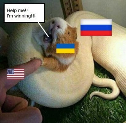 ukraine_winning-min.jpeg