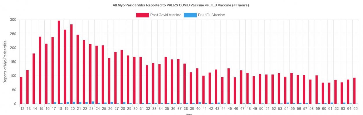 myocarditis-el bichito-flu-vaccine-1-3341400376.jpg