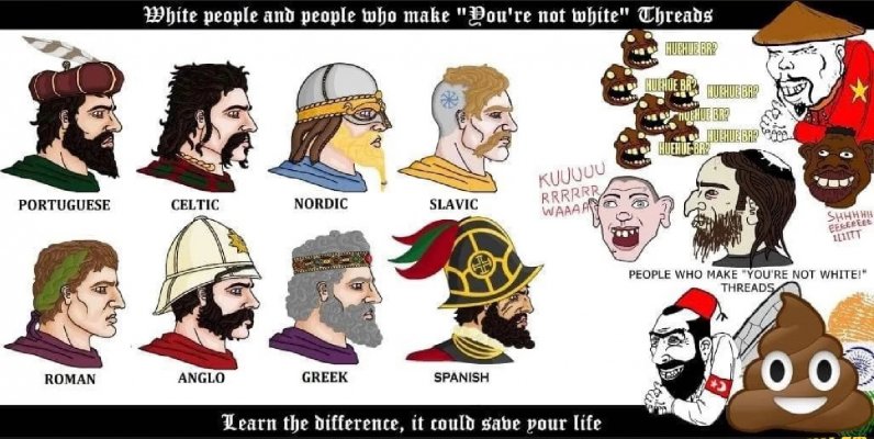 europeans arent white meme.jpg