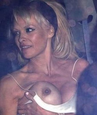 pamela-anderson--490x578.jpg