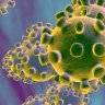 Coronavirus