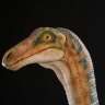 _gallimimus_