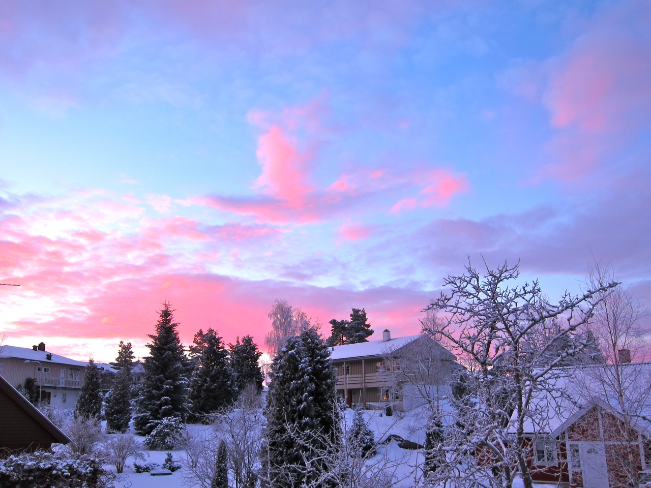 snow_sunrise21.jpg