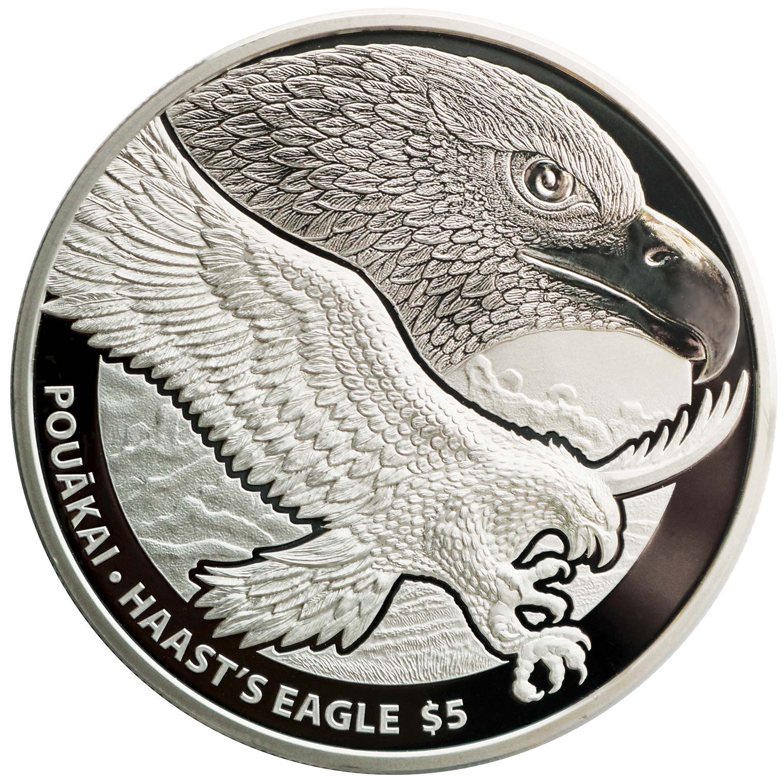 2016-NZP-Haast-Eagle-REV.jpg