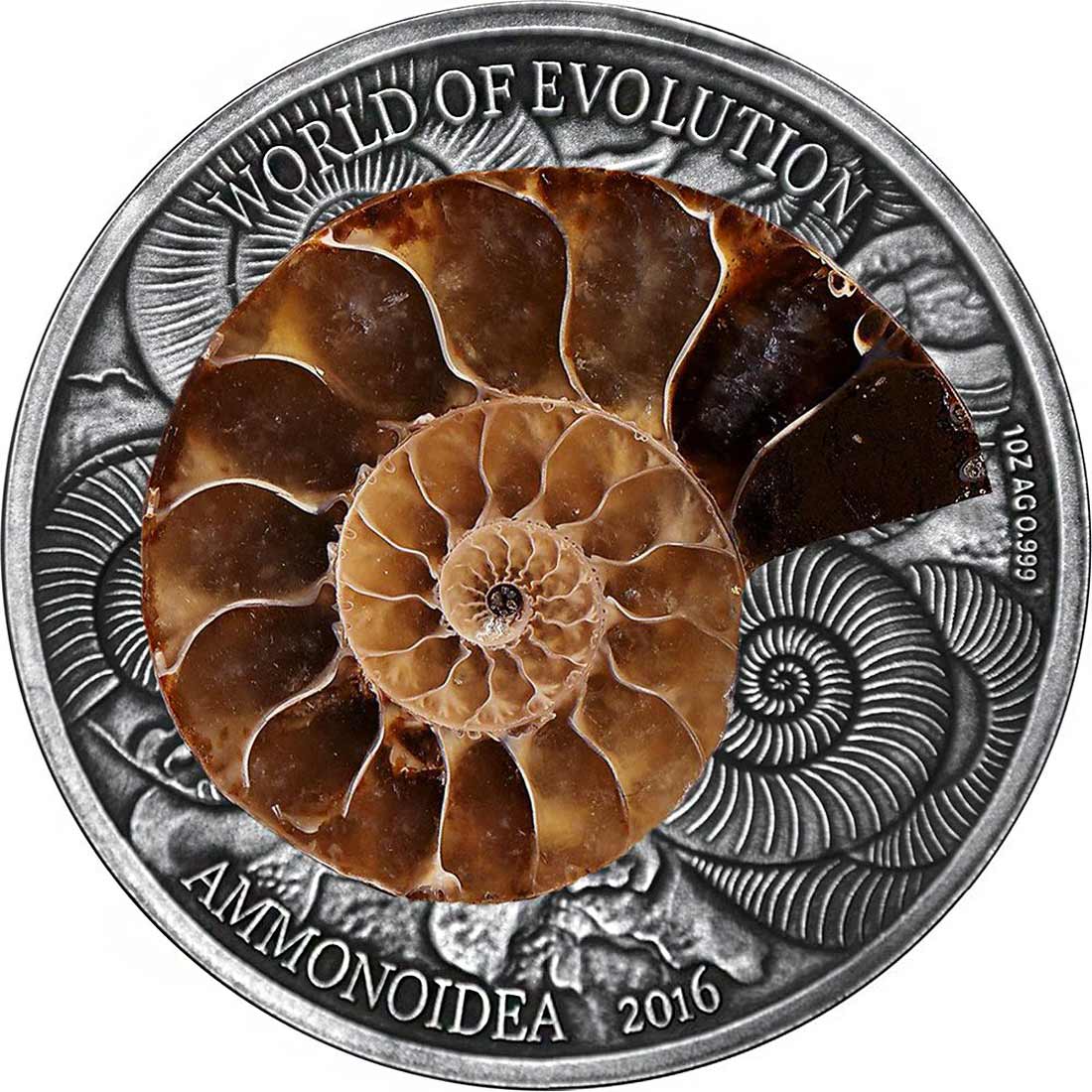 2016-MCI-World-of-Evolution-Ammonites-REV.jpg