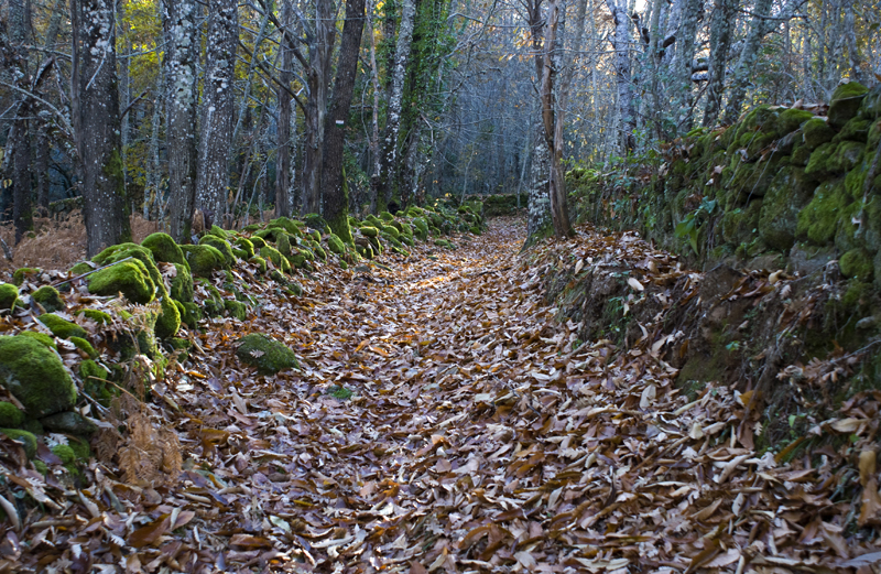 Camino-del-Agua-Sierra-de-Francia-Salamanca_18.jpg