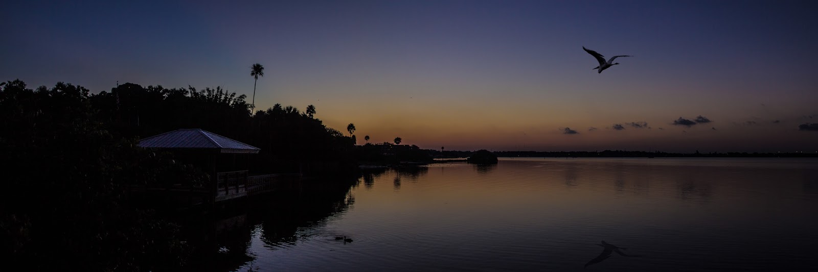 Septermber-09-2013-Sunrise-Pan-Egret.jpg