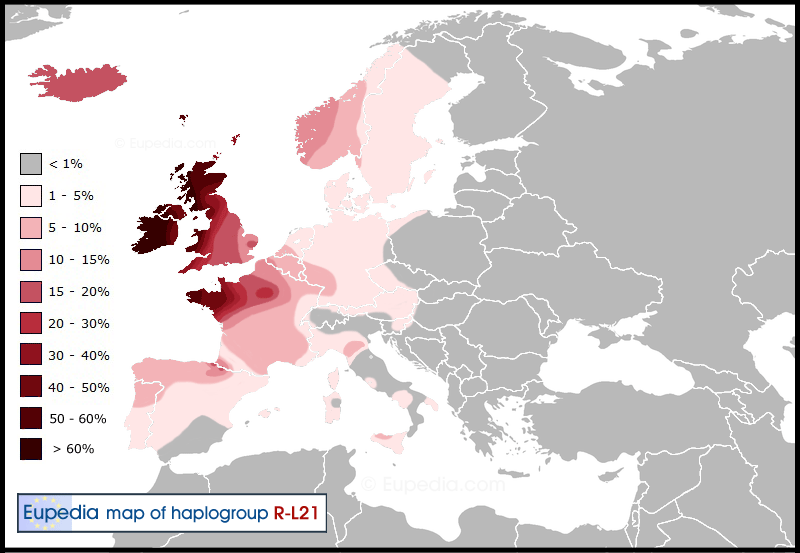 Haplogroup-R1b-L21.gif