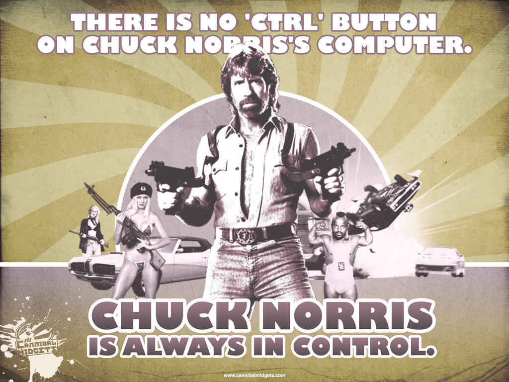 Chuck_Norris_Wallpaper_by_thereverend3k.jpg