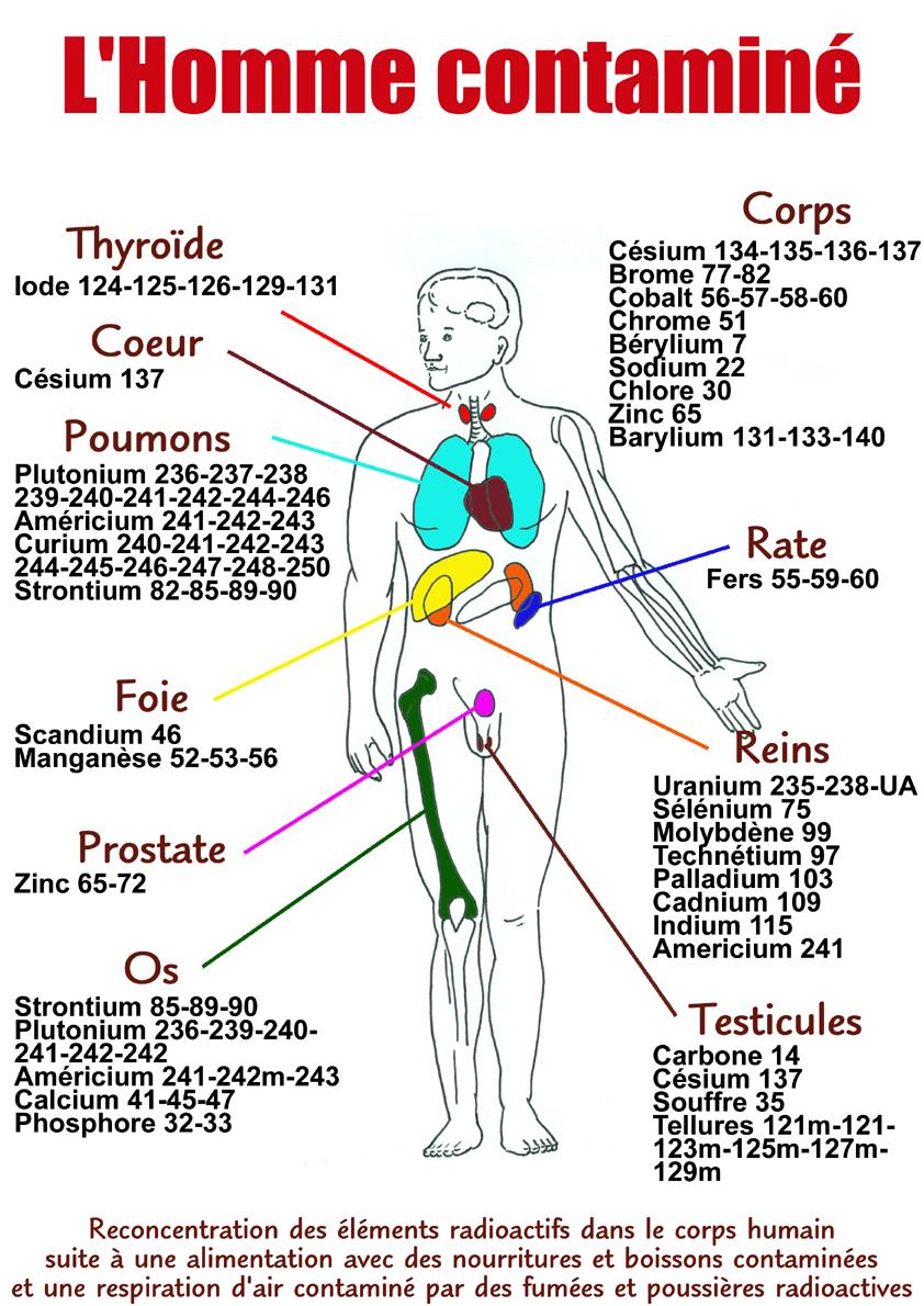 LCR-14-Lhomme-contamine.jpeg